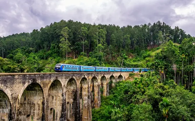 blue train in sri lankan jungle.